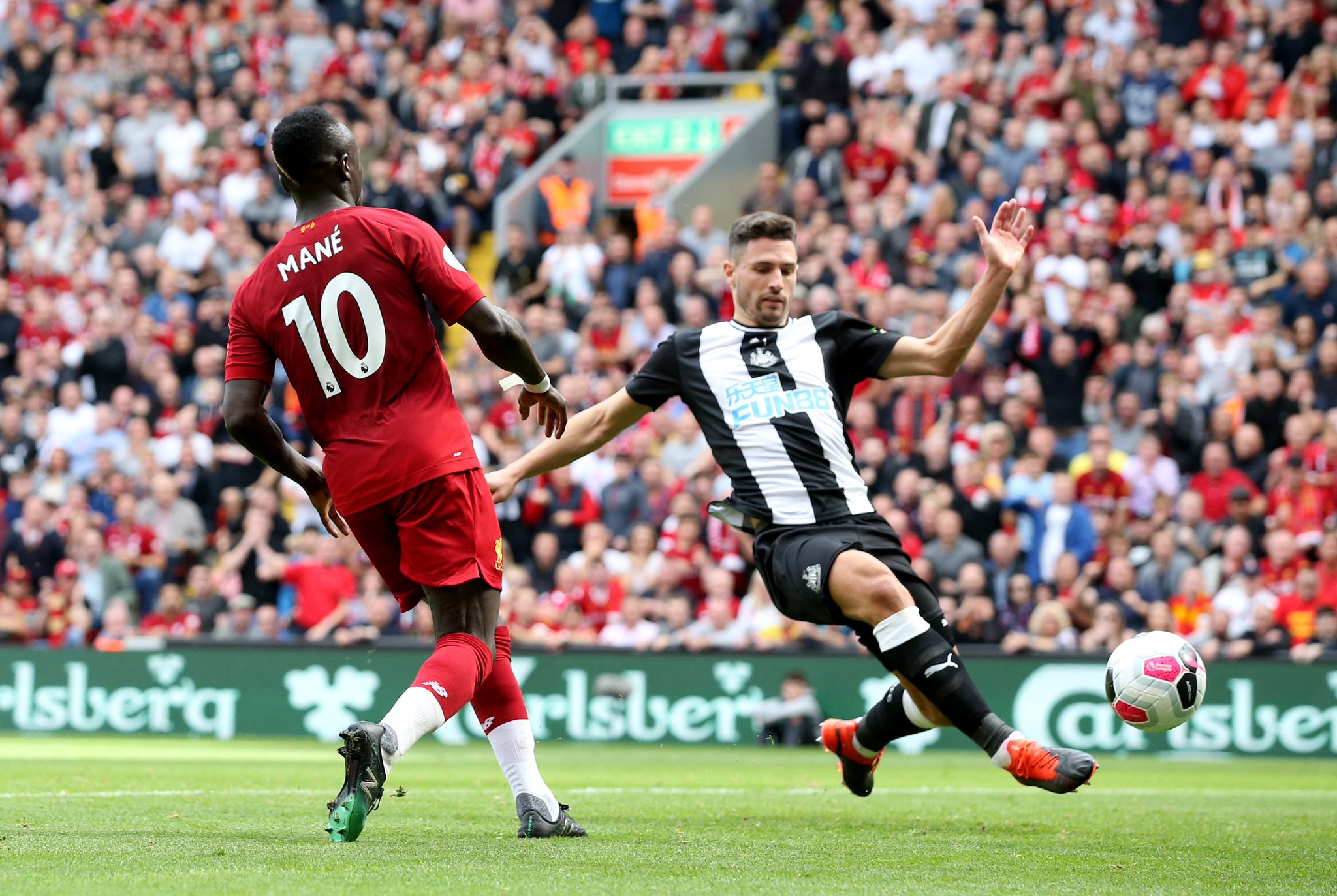 这种希望遭 这种希望遭