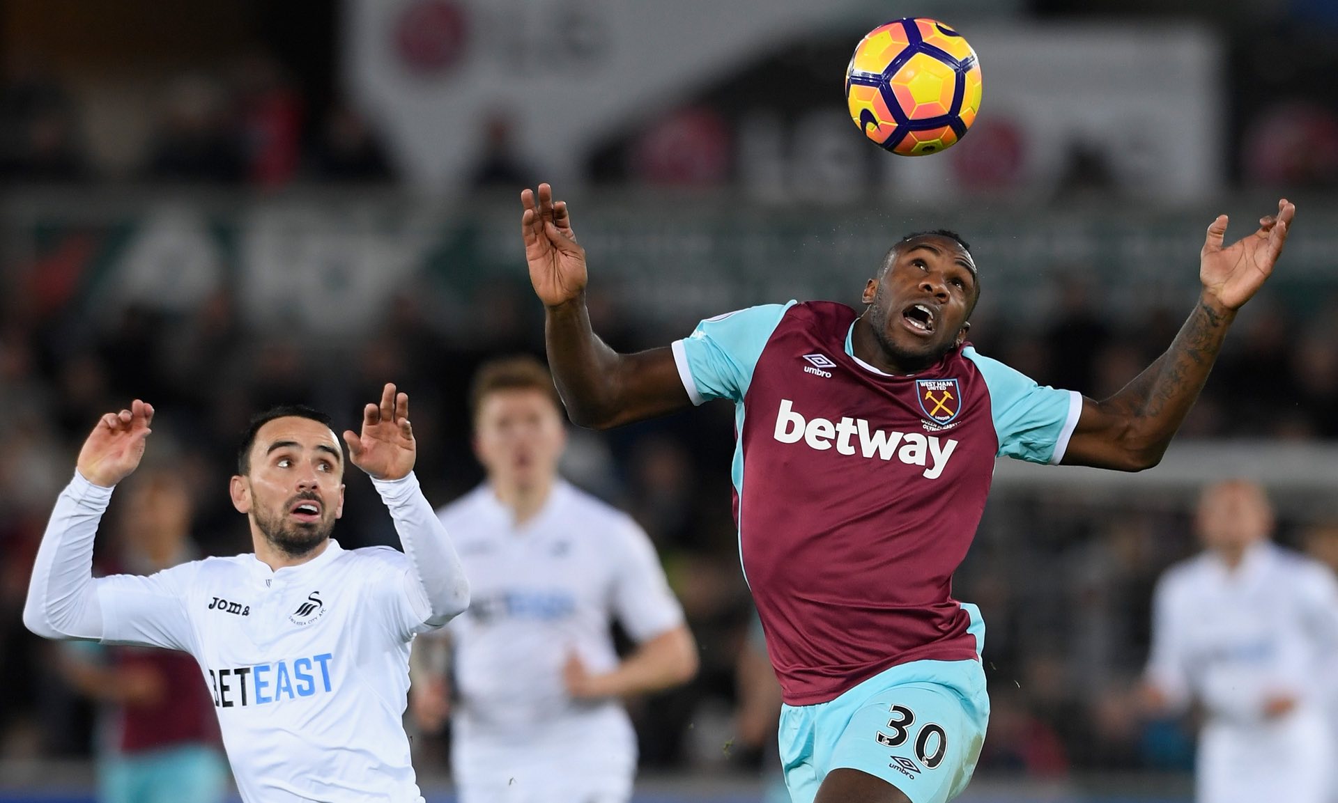 的年轻球员 的年轻球员