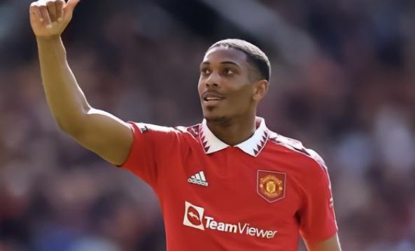 现已经证明 现已经证明